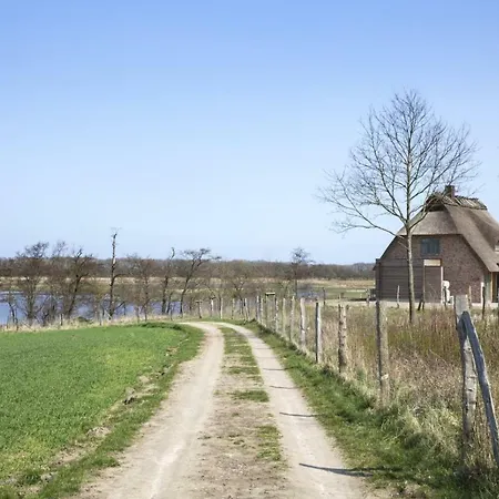 Luxus - Ostseeferienhaus Steilkuste *